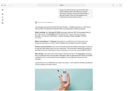 MEta-AI-campaign-management