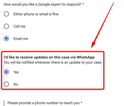 google-ads-whatsapp-notifications-1764339682